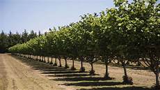 Drip Irrigation Production Machines