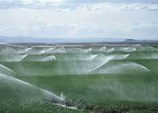 Drip Irrigation Pumps