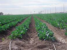 Drip Irrigation Supplies