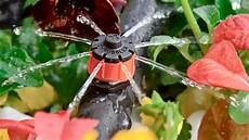 Drip Irrigation Syste
