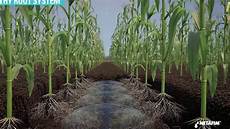 Drip Irrigation Syste