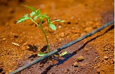 Drip Irrigation Syste