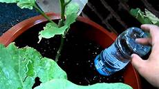 Drip Irrigation System Manufacturers