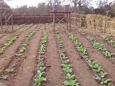 Drip Irrigation Valves
