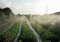 Drip Irrigation