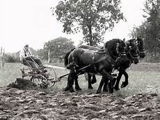 Eccentric Plough
