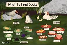 Exports Of Feed Mix Machines