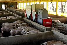 Feed Distributing