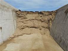 Feeding Cattle Silage