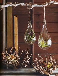 Fertilized Air Planters