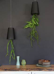 Fertilized Air Planters