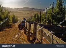Fruit Picking Trailers