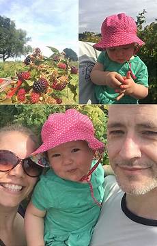 Fruit Picking Trailers