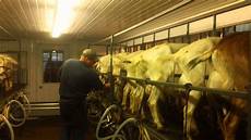 Goat And Sheep Milking Systems