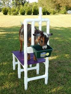 Goat And Sheep Milking Systems