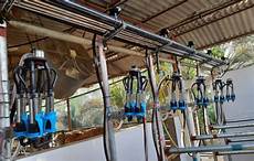 Goat Milking Equipments