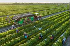 Good Agricultural Practice