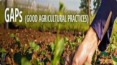Good Agricultural Practices