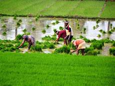 Good Agricultural Practices