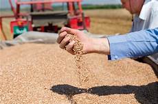 Grain Drying Boilers
