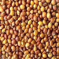 Grain Sowing Machines