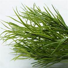 Grass Picking Machines
