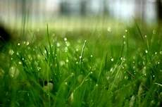 Grass Picking Machines