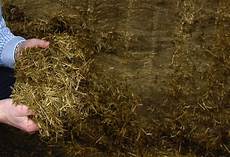 Grass Silages