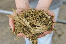 Hay And Silage