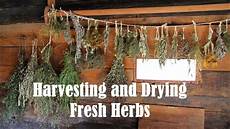 Herbage Harvester Rake