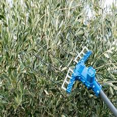 Herbage Harvester Rake