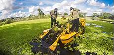 Herbage Harvester Rakes