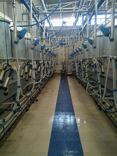 Herringbone Milking Parlors