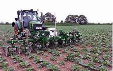 Hoeing Machinery