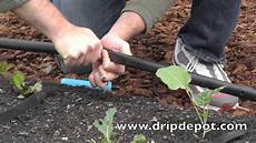 Installing Drip Irrigation