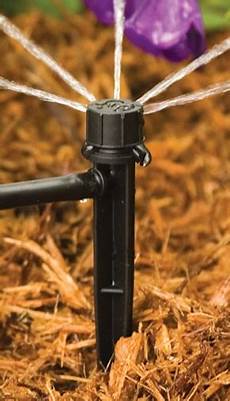 Installing Drip Irrigation