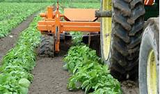 Inter-Row Rotary Cultivator
