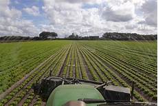 Interrow Hoeing Machines