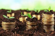 Investment Projects