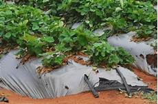 Irrigation Drip Irrigation Pipes And Fittings