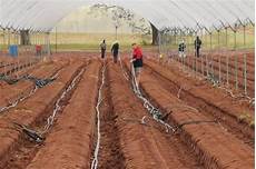 Irrigation Drip Irrigation Pipes And Fittings