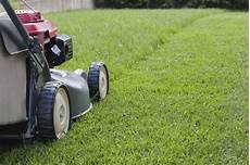Lawn Mowing Equipments