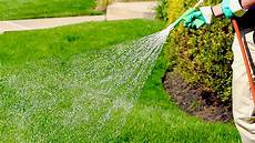 Lawn Spraying