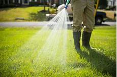 Lawn Spraying