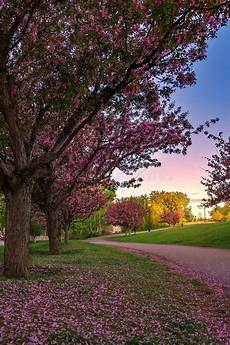 Lining Spring