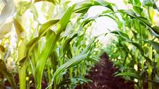 Machine Agriculture