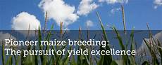 Maize Silage Machine