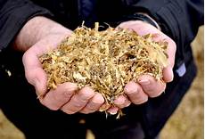 Maize Silage Making