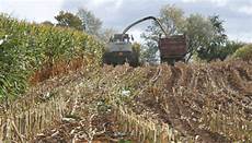 Making Corn Silage