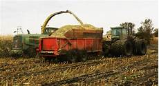 Making Corn Silage
